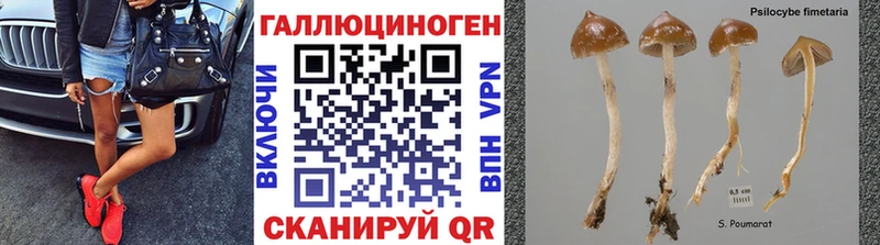гидра сайт  Томилино  Псилоцибиновые грибы Magic Shrooms 